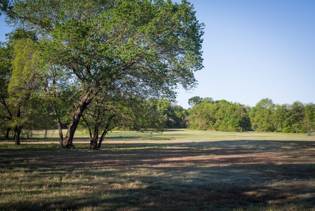 Photo of 361 Collinwood Drive