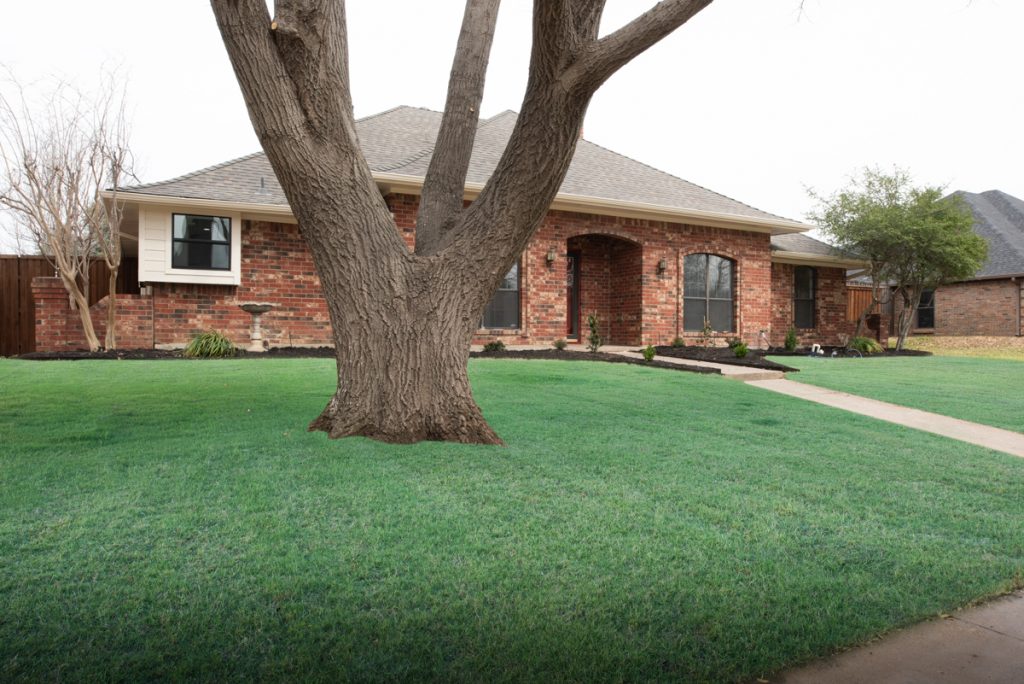 Photo of 3913 Camino Drive